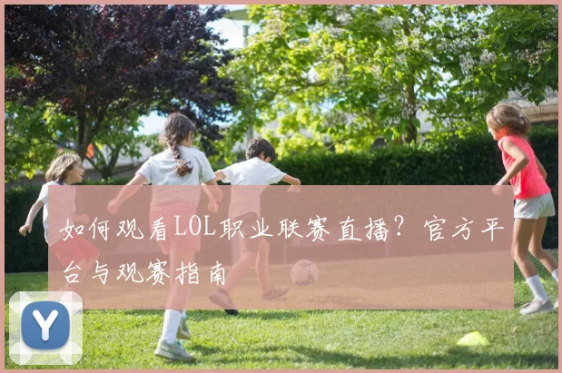 如何观看LOL职业联赛直播？官方平台与观赛指南