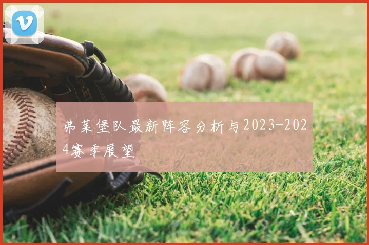 弗莱堡队最新阵容分析与2023-2024赛季展望