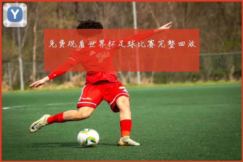 免费观看世界杯足球比赛完整回放