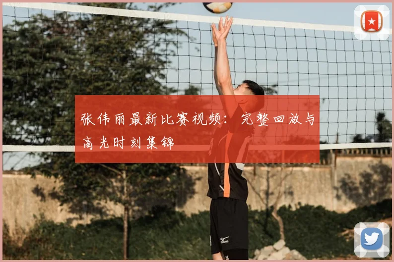 张伟丽最新比赛视频：完整回放与高光时刻集锦