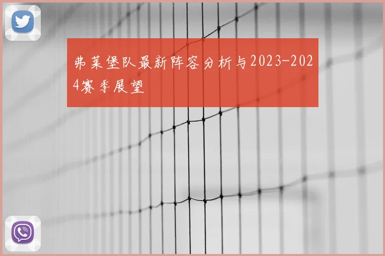 弗莱堡队最新阵容分析与2023-2024赛季展望
