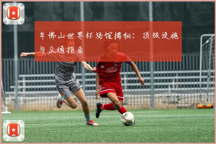 年佛山世界杯场馆揭秘：顶级设施与交通指南